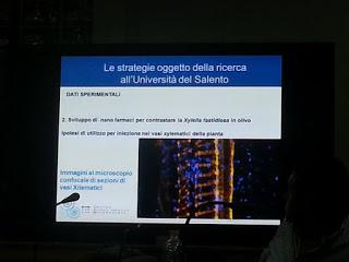 Sviluppo di un sistema di diagnosi precoce con METABOLONI e mobilità dei nanovettori nei vasi xilematici, senza che la pianta reagisca distruggendoli o inglobandoli al fine di curare gli alberi di olivi del Salento infettati dal batterio Xylella Fastid...