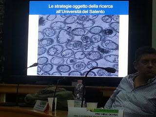 Sviluppo di un sistema di diagnosi precoce con METABOLONI e mobilità dei nanovettori nei vasi xilematici, senza che la pianta reagisca distruggendoli o inglobandoli al fine di curare gli alberi di olivi del Salento infettati dal batterio Xylella Fastid...