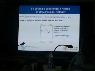 Sviluppo di un sistema di diagnosi precoce con METABOLONI e mobilità dei nanovettori nei vasi xilematici, senza che la pianta reagisca distruggendoli o inglobandoli al fine di curare gli alberi di olivi del Salento infettati dal batterio Xylella Fastid...