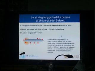 Sviluppo di un sistema di diagnosi precoce con METABOLONI e mobilità dei nanovettori nei vasi xilematici, senza che la pianta reagisca distruggendoli o inglobandoli al fine di curare gli alberi di olivi del Salento infettati dal batterio Xylella Fastid...