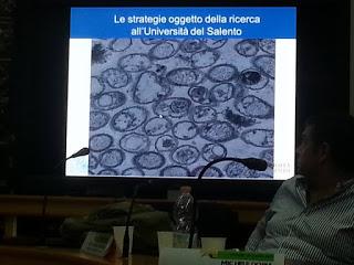 Sviluppo di un sistema di diagnosi precoce con METABOLONI e mobilità dei nanovettori nei vasi xilematici, senza che la pianta reagisca distruggendoli o inglobandoli al fine di curare gli alberi di olivi del Salento infettati dal batterio Xylella Fastid...