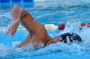 nuoto - Swimming Cup