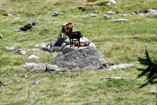 Ecco qualche foto della nostro trekking sulle montagne delle alpi marittime in Val Gesso