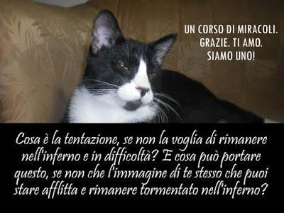 Non puoi concedere a te stesso la tua innocenza, perché tu sei troppo confuso su chi sei. Parte 5. Non puoi concedere a te stesso la tua innocenza, perché tu sei troppo confuso su chi sei. Parte 5.