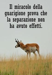 Non puoi concedere a te stesso la tua innocenza, perché tu sei troppo confuso su chi sei. Parte 5. Non puoi concedere a te stesso la tua innocenza, perché tu sei troppo confuso su chi sei. Parte 5.