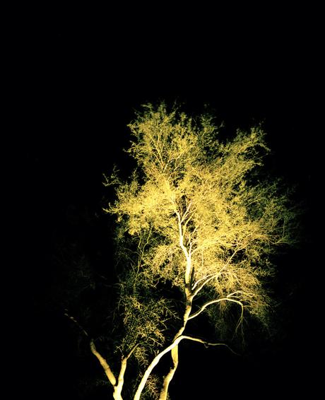 FOTOGRAFIA: Scienza e misticismo | Ryan Duffin FOTOGRAFIA: Scienza e misticismo | Ryan Duffin