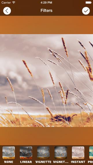 Color-Accent-Lab (1)