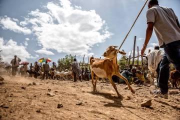 Lago di Garda: quattro località sul bacino d’acqua più grande d’Italia