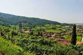 MILANO. Dal vigneto proposte giovani anti-crisi fra gelatine di vino e balsamo degli angeli.