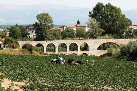 Frutta e verdura a pochi euro