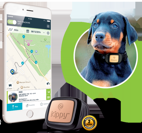 Localizzatore GPS per non perdere mai di vista il tuo cane