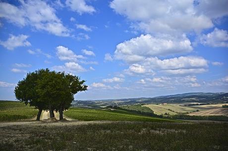 Sport in Toscana: cinque attività per godere della cornice più bella d’Italia