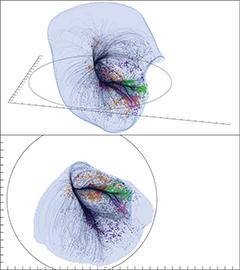 Il nostro indirizzo nell’universo: Laniakea