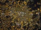 L’inquinamento luminoso visto dallo spazio