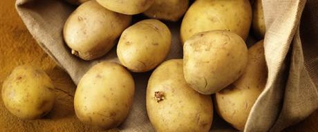 La grande Sagra di Ischia | Programma degli eventi