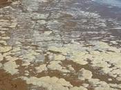 Crotone, emergenze problemi rimandati settembre