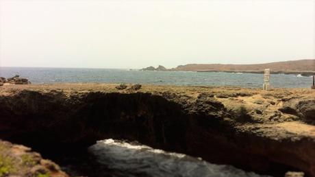 Un safari ad Aruba: il lato selvaggio dei Caraibi