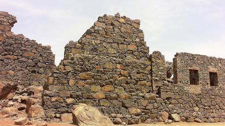 Un safari ad Aruba: il lato selvaggio dei Caraibi