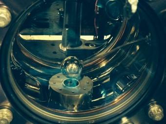 Come t’intrappolo i ‘camaleonti’