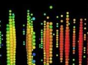 Neutrini cosmici IceCube