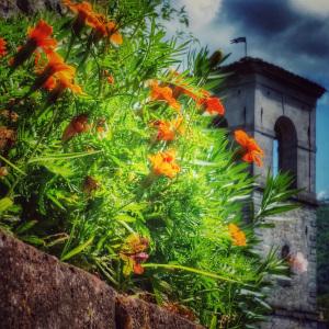 Castiglione Garfagnana - il campanile della chiesa di San Pietro