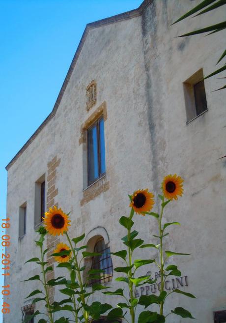 Convento dei Cappuccini a Mesagne_Sede dell'ISBEM