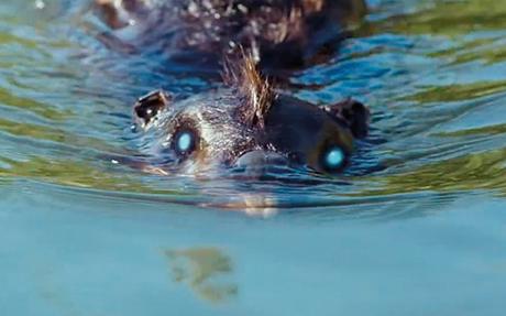 zombeavers-featured-1900x560-1413465913