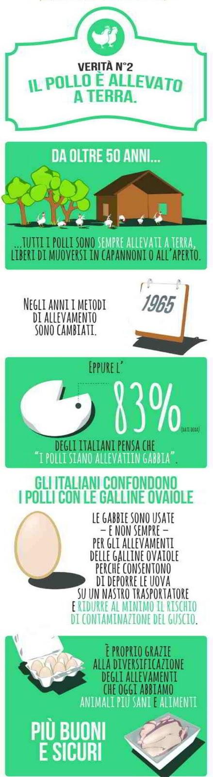 6 verità sul pollo