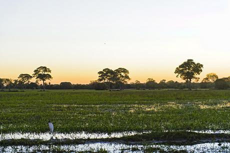 Ecoturismo in Brasile: una sfida difficile per proteggere un tesoro naturale inestimabile