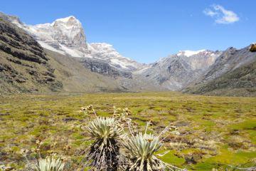 Ecoturismo in Brasile: una sfida difficile per proteggere un tesoro naturale inestimabile