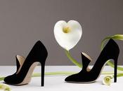 DUCCIO VENTURI BOTTIER solo paio scarpe?