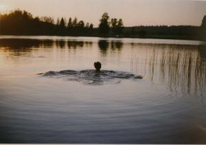 dusk-girl-lake-photography-reeds-Favim.com-218532