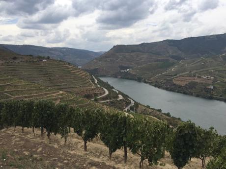 Il Portogallo del buon vino: paesaggi e sapori nella Valle del Douro