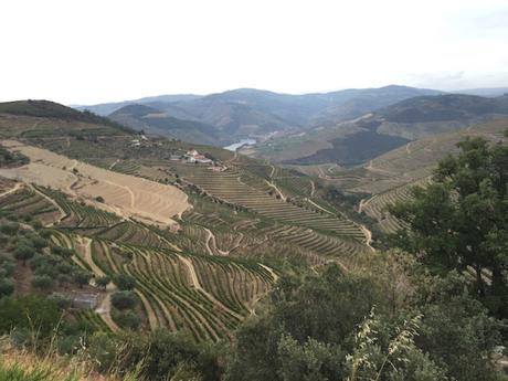 Il Portogallo del buon vino: paesaggi e sapori nella Valle del Douro