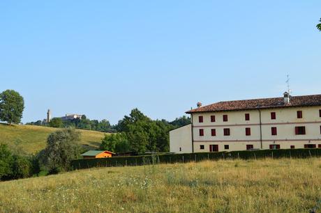 agriturismo borgoluce susegana treviso