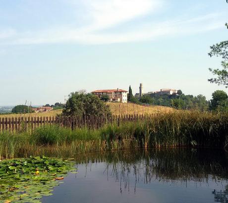 agriturismo borgoluce susegana treviso