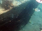 Archeologia navigazione. mare Gela restituisce antico relitto nave greca ritrovato Sicilia