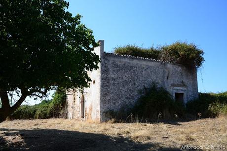 FOTOGALLERY: I graffiti dello xenodochium di San Raffaele nella Valle Carbonara a Monte Sant'Angelo