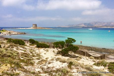 [Travels] Le nostre vacanze in Sardegna