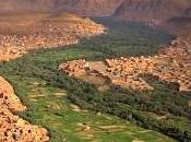 25/08/2015 deserto avanza. Anche Italia