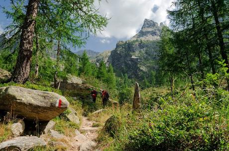 LAGORAI: Cima d'Asta