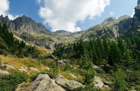 LAGORAI: Cima d'Asta