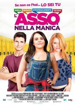 L'A.S.S.O. nella manica ( 2015 )