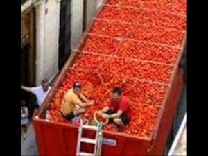 tomatina