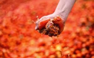 tomatina spagna