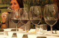 VOGHERA (pv). Sono vini oltrepadani saranno premiati alla 