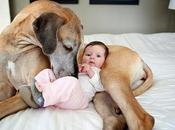 Dedicate tempo agli animali domestici, consiglio settimana migliorare propria vita quella altrui