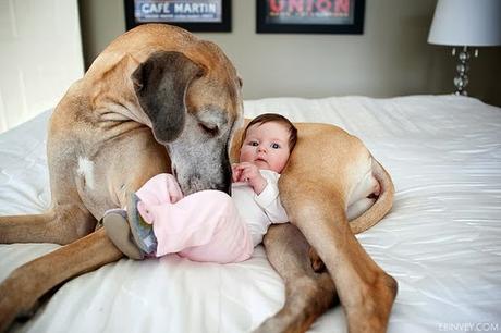 Dedicate del tempo agli animali domestici, un consiglio a settimana per migliorare la propria vita e quella altrui