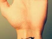 SEGNALAZIONE Baby Adelaide Marco Cornetto