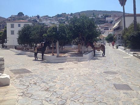 MY GREEK TRIP-HYDRA